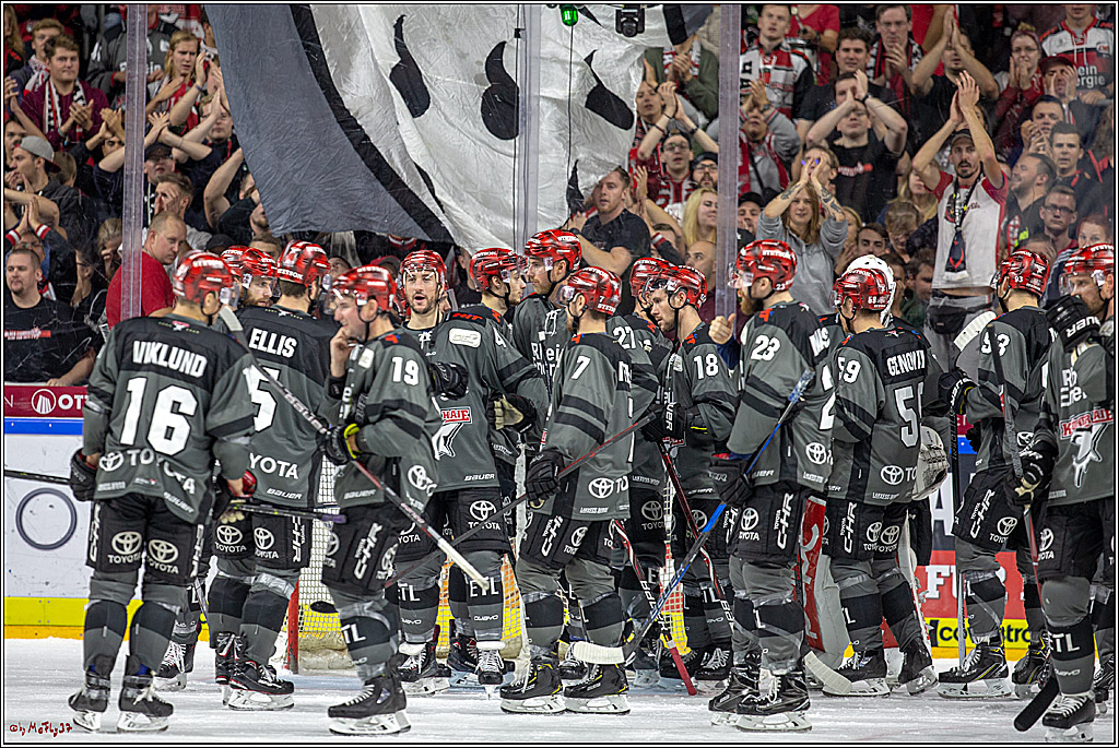 DEL Koelner Haie - Grizzlys Wolfsburg, 23.09.2018